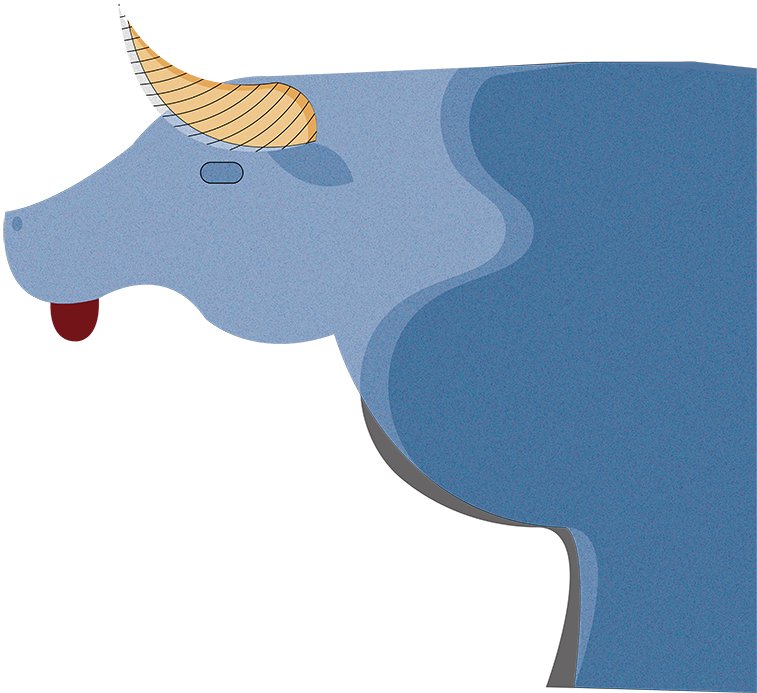 cow head